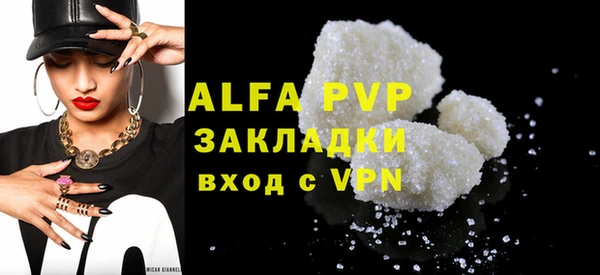 шишки Карпинск