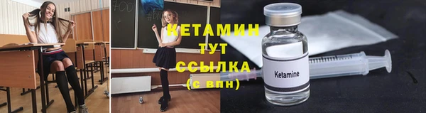 шишки Карпинск