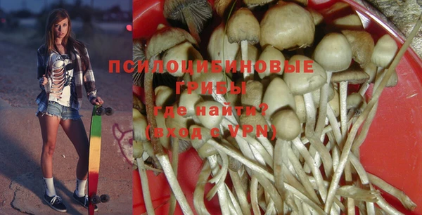 шишки Карпинск