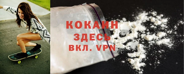 шишки Карпинск