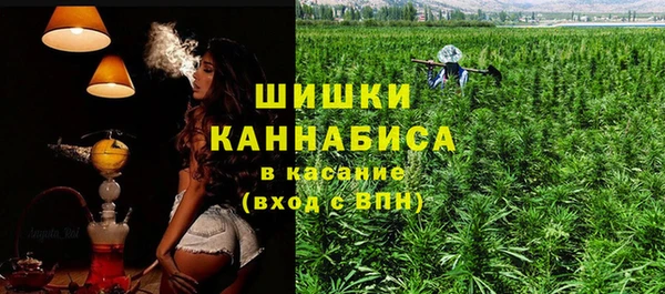 шишки Карпинск